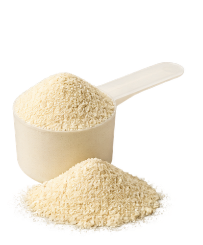 Whey Protein